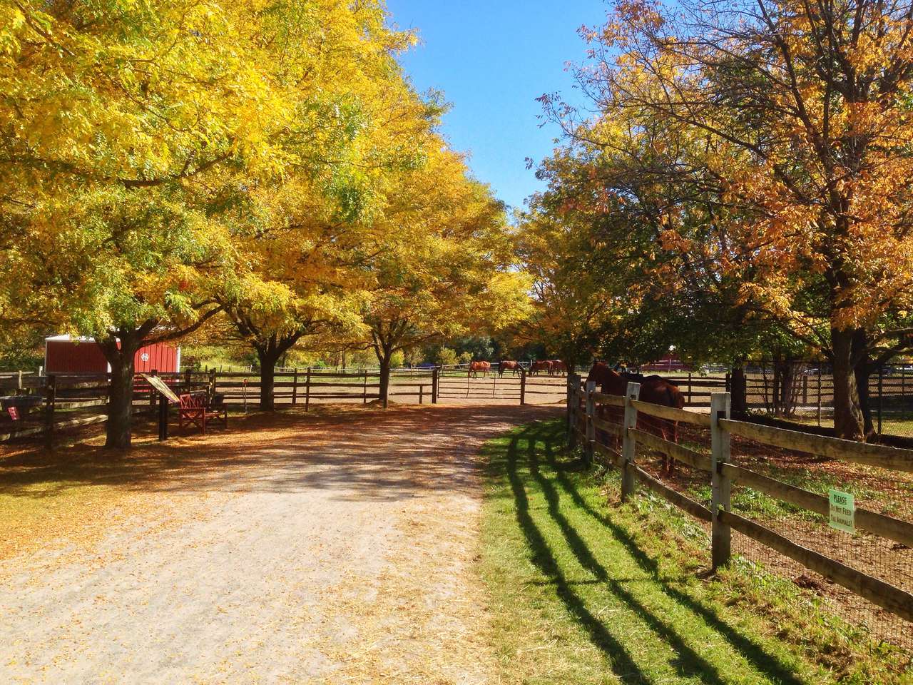 cost-of-living-in-rochester-ny-united-states-3-927-44-mo