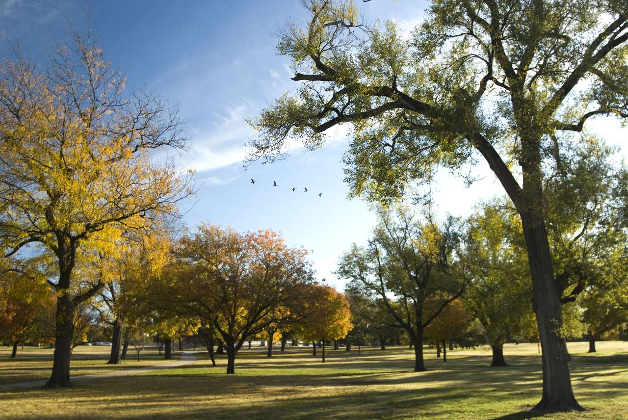 Cost of Living in Wichita, KS, United States 3,025.95/mo