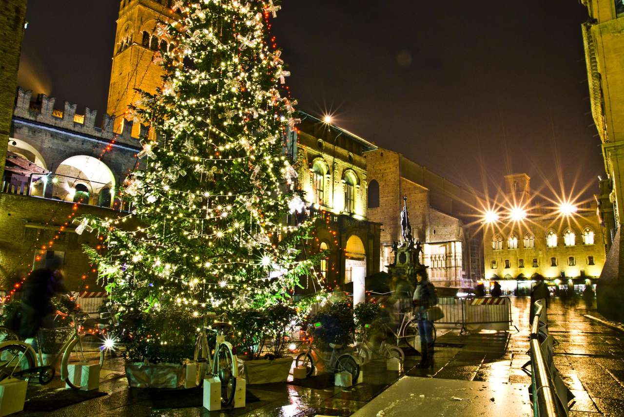 [Obrazek: 50_Image_3.jpg]