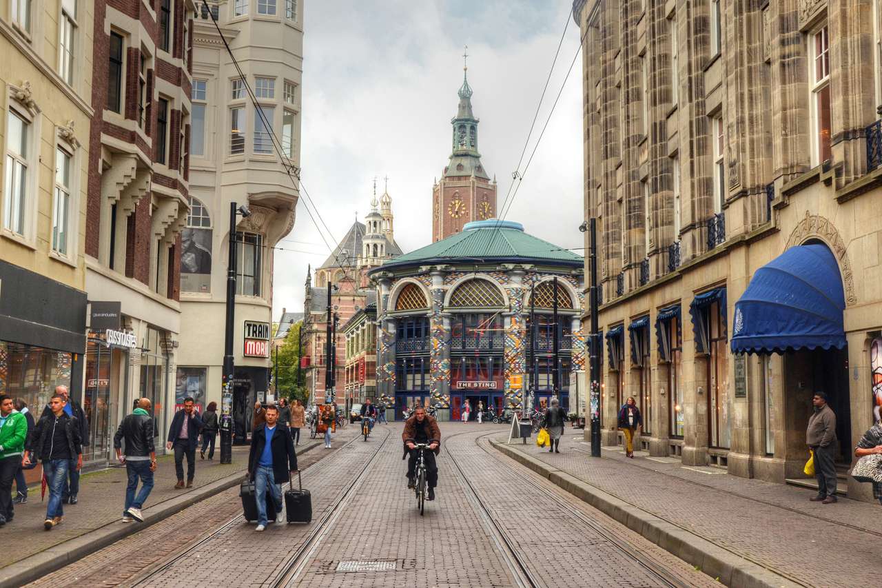 Cost of Living in The Hague, Netherlands 2,803.76/mo