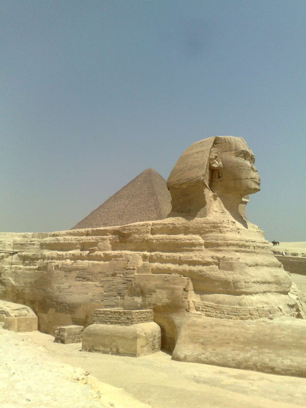 Cost of Living in Cairo, Egypt 730.40/mo